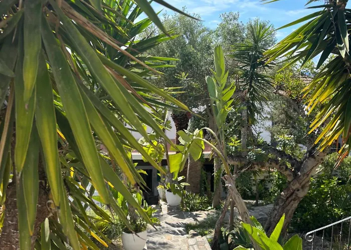 One Shot Buenavista Bed & Breakfast