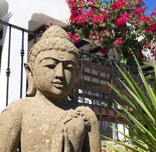 One Shot Buenavista Bed and Breakfast Santa Eulària des Riu