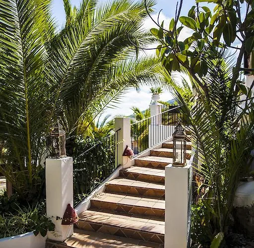 One Shot Buenavista 4* Santa Eulària des Riu