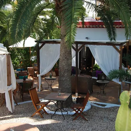 Oda ve Kahvaltı One Shot Buenavista Santa Eularia des Riu