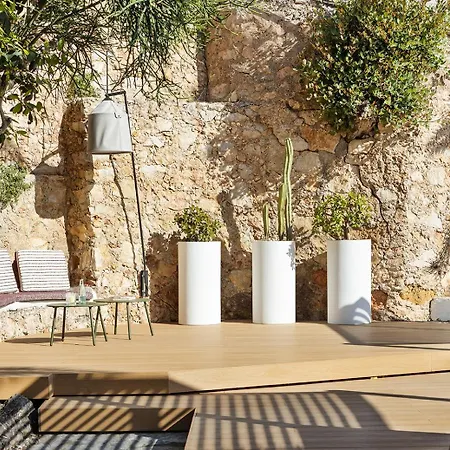 Bed & Breakfast One Shot Buenavista 4*
