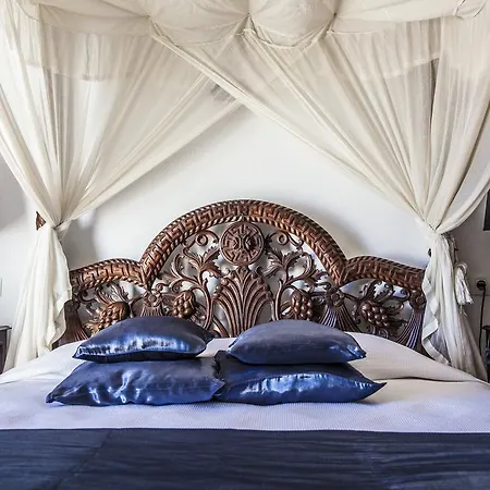 布埃纳维斯塔套房酒店