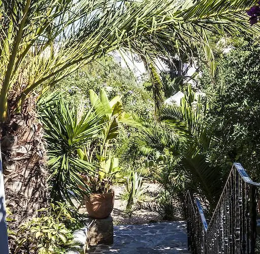 Oda ve Kahvaltı One Shot Buenavista Santa Eularia des Riu